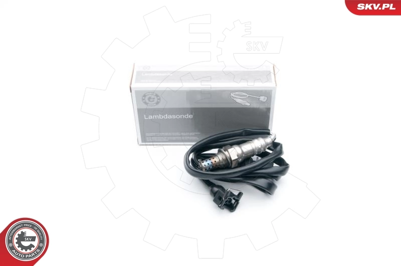 Oxygen Sensor